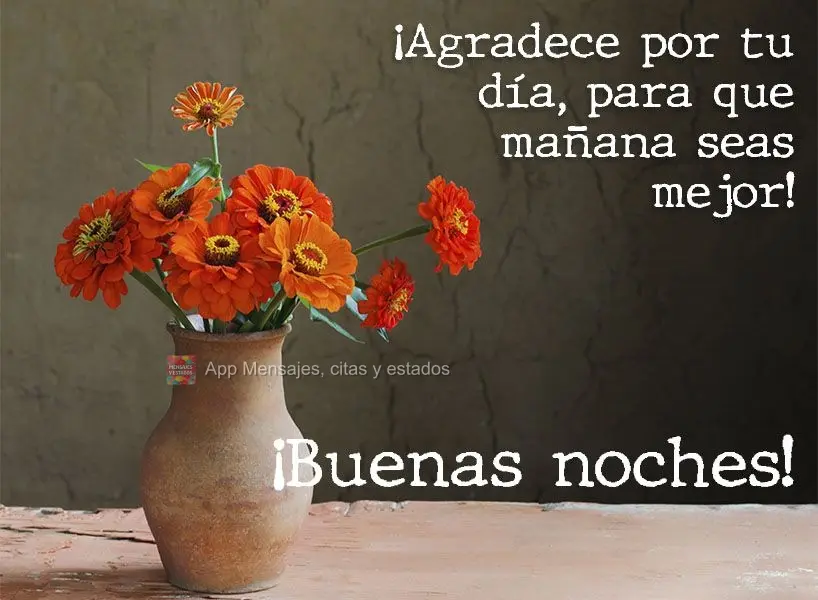 Agradeça pelo seu dia de hoje, para que amanhã seja ainda melhor!  Boa noite!