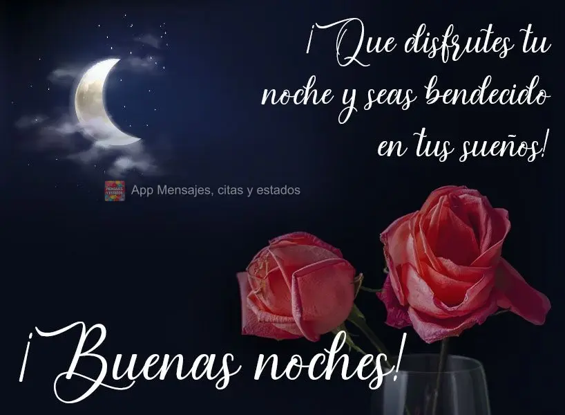 Que você aproveite sua noite e seja abençoado durante seus sonhos!  Boa noite!