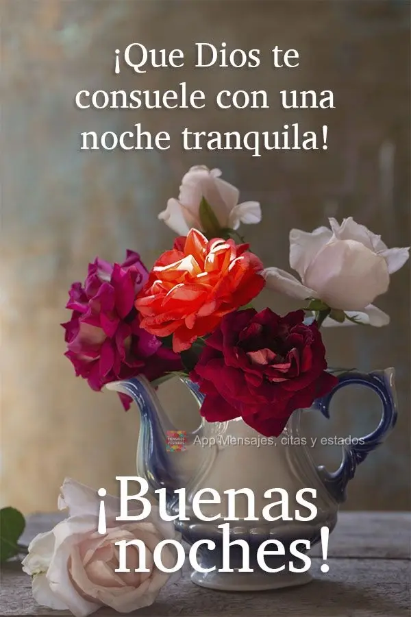 ¡Que Dios te consuele con una noche tranquila! ¡Buenas noches!