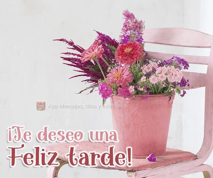 Desejo que tenha uma Feliz tarde!