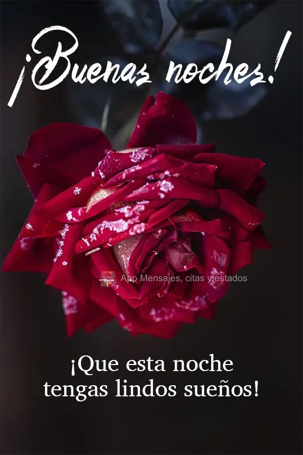 ¡Que esta noche tengas lindos sueños! ¡Buenas noches!
