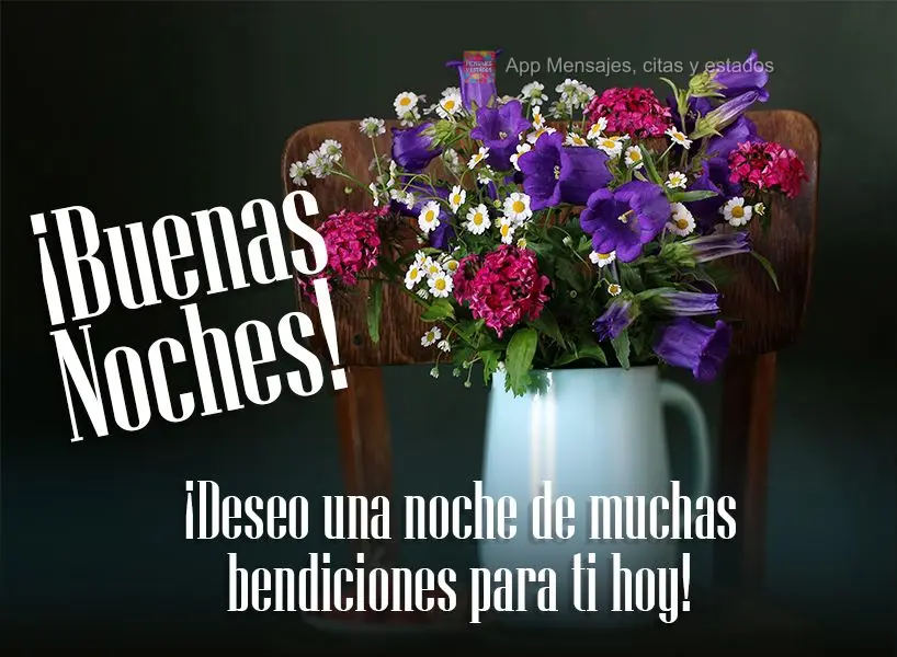 ¡Deseo una noche de muchas bendiciones para ti hoy! ¡Buenas noches!