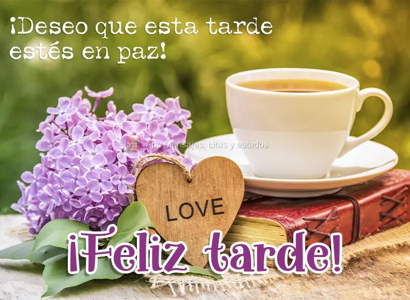 Para esta tarde desejo apenas que você esteja em paz!  Boa tarde!