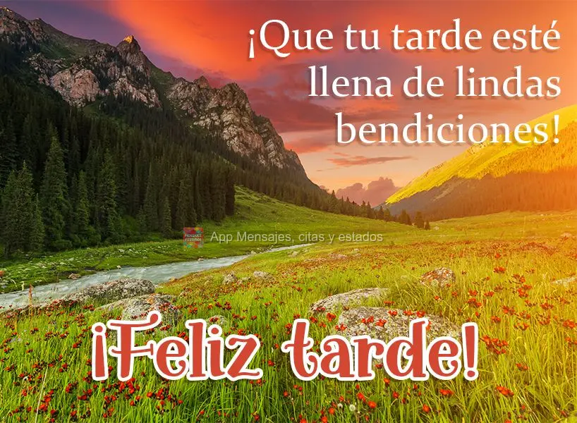 Que sua tarde seja de lindas bênçãos! Boa tarde! 