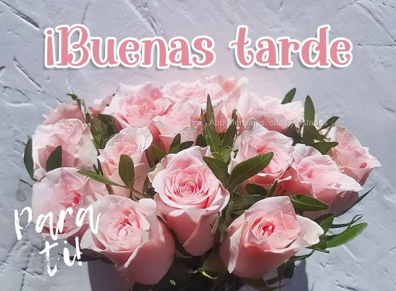 Boa tarde! Para você!