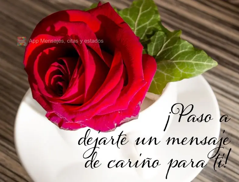 ¡Paso a dejarte un mensaje de cariño para ti!