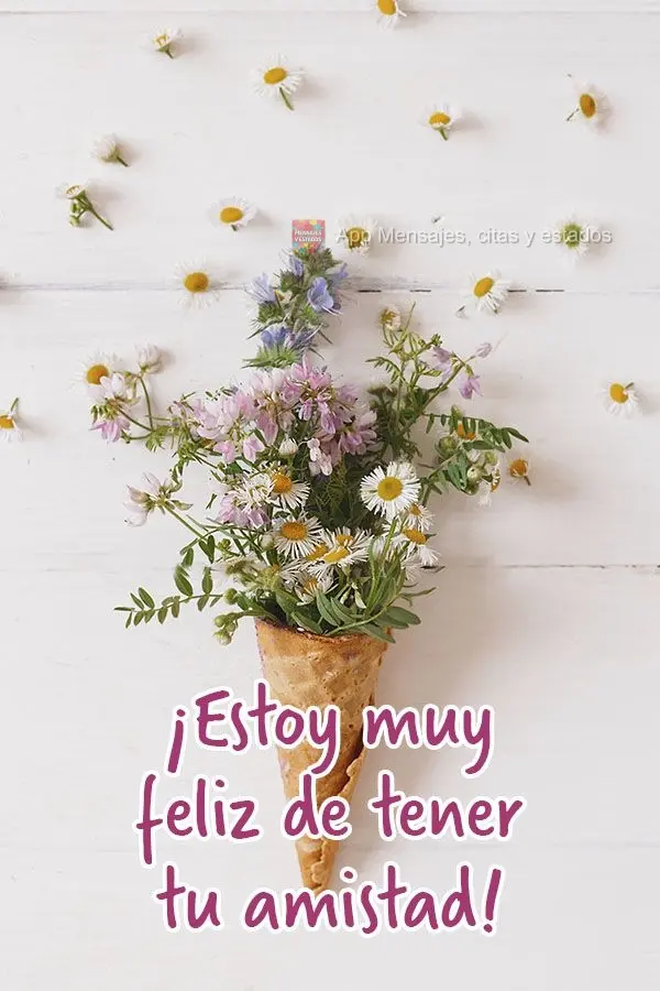 ¡Estoy muy feliz de tener tu amistad!