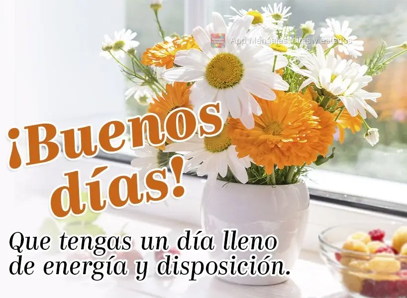 Tenha um dia cheio de energia e disposição. Bom dia!