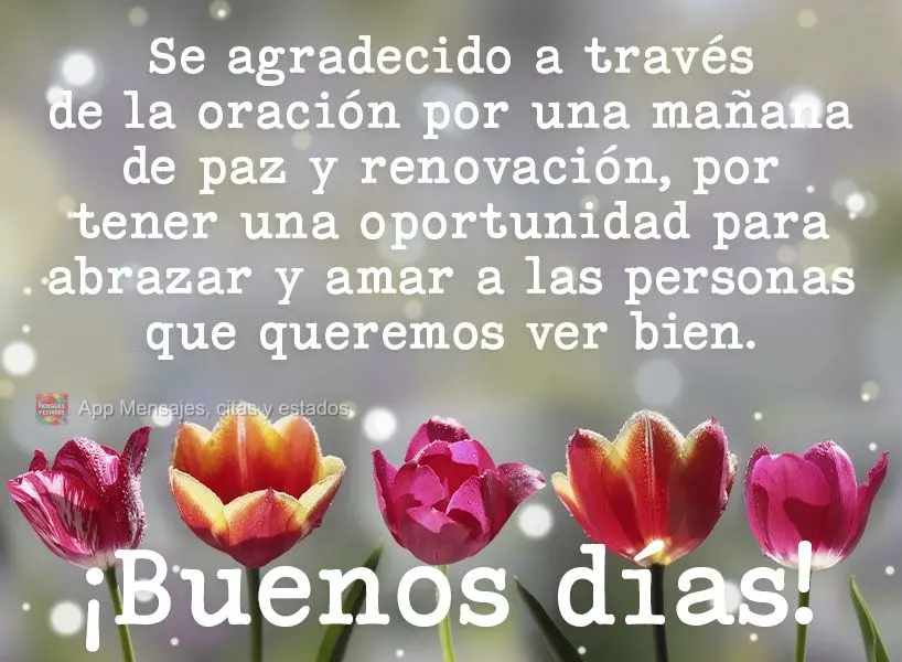 Sejamos gratos em oração por uma manhã de paz e renovação, por termos a oportunidade de abraçar e amar mais um dia as pessoas que queremos bem.  Bo...