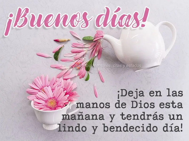 Entregue na mão de Deus essa manhã e terá um lindo e abençoado dia!  Bom dia!