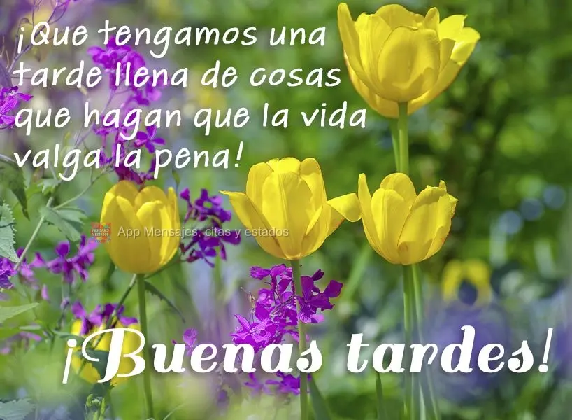 Que tenhamos uma tarde cheia de coisas que fazem a vida valer a pena.  Boa tarde!