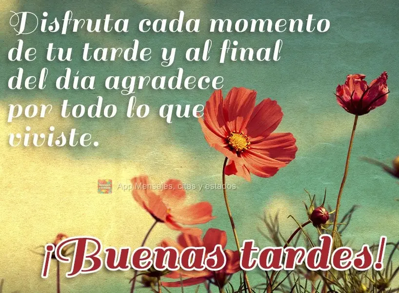 Aproveite cada momento de sua tarde, e no final dela agradeça por tudo que viveu. Boa tarde!