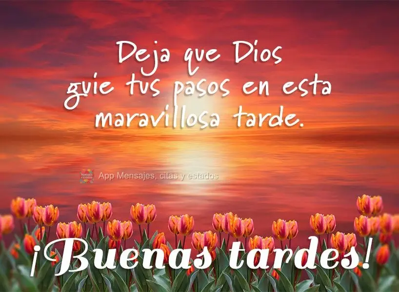 Deja que Dios guie tus pasos en esta maravillosa tarde. ¡Buenas tardes!