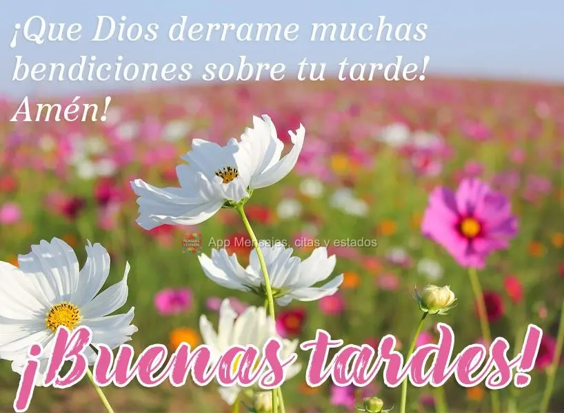 ¡Que Dios derrame muchas bendiciones sobre tu tarde! Amén ¡Buenas tardes!