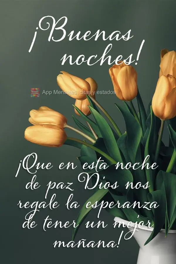 ¡Que en esta noche de paz Dios nos regale la esperanza de tener un mejor mañana! ¡Buenas noches!