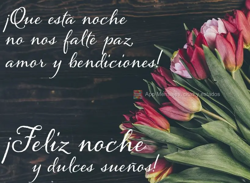 Que nesta noite não nos falte paz, amor e bênçãos!  Boa noite e bons sonhos!