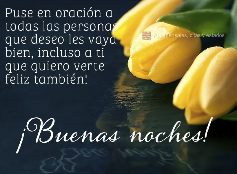 Puse en oración a todas las personas que deseo les vaya bien, incluso a ti que quiero verte feliz también! ¡Buenas noches!