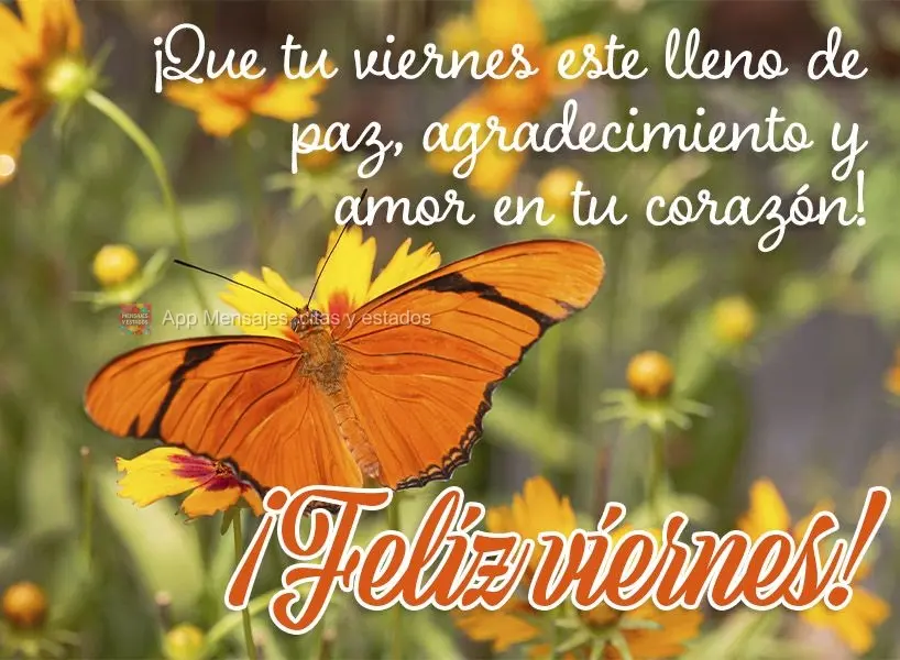 Que a tua sexta-feira seja de paz, gratidão e amor pro coração!  Feliz Sexta!