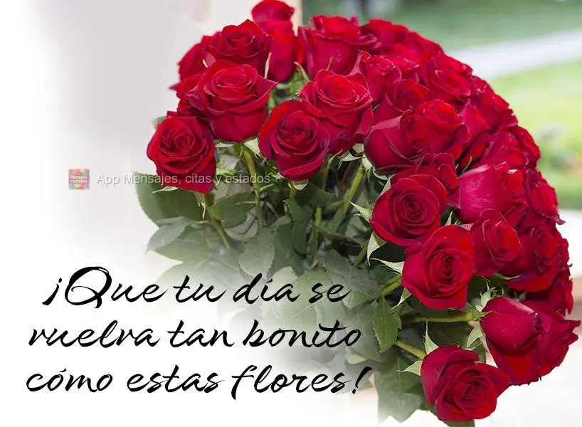 ¡Que tu día se vuelva tan bonito cómo estas flores!