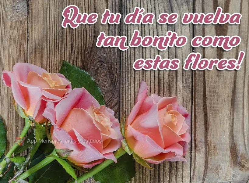 ¡Que tu día se vuelva tan bonito como estas flores!