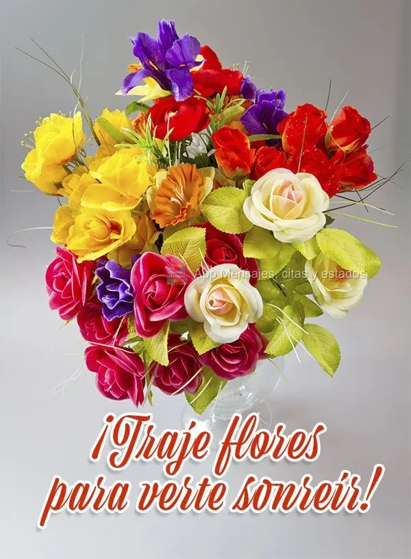 Trouxe flores para te ver sorrir!