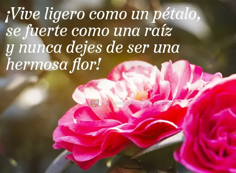 ¡Vive ligero como un pétalo, se fuerte como una raíz y nunca dejes de ser una hermosa flor!