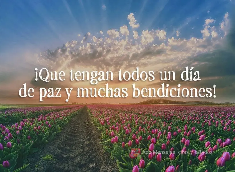 ¡Que tengan todos un día de paz y muchas bendiciones!