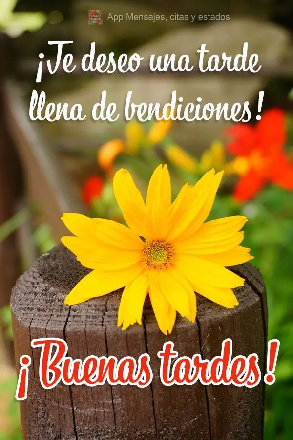 ¡Te deseo una tarde llena de bendiciones! ¡Buenas tardes!
