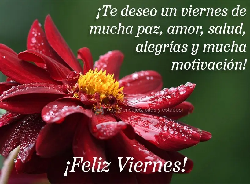 ¡Te deseo un viernes de mucha paz, amor, salud, alegrías y mucha motivación! ¡Feliz viernes!