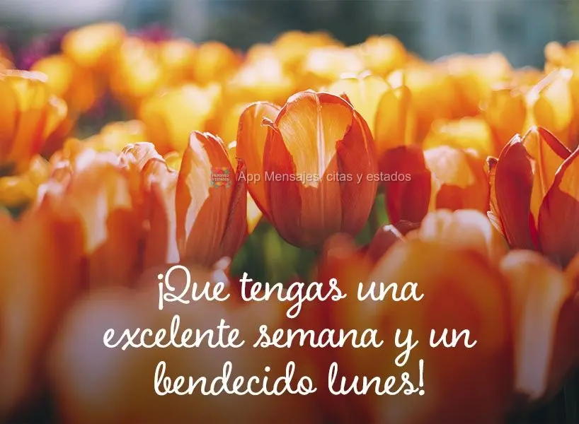¡Que tengas una excelente semana y un bendecido lunes!