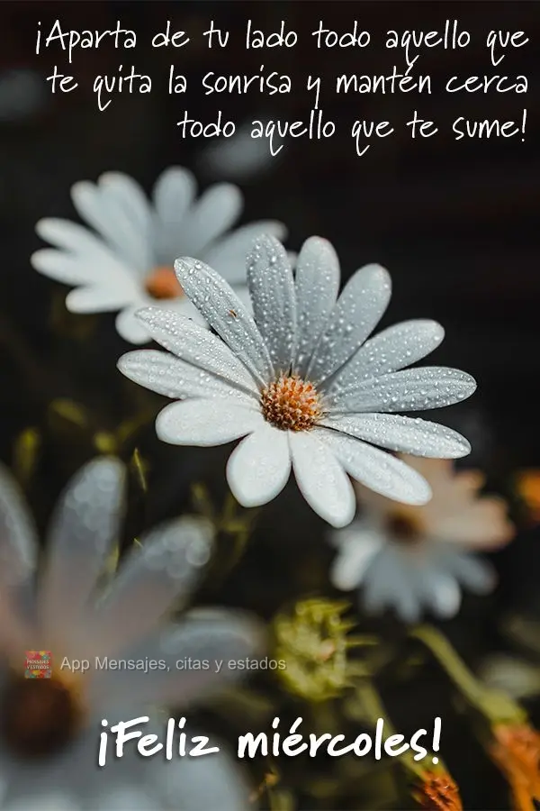 Afasta de ti tudo aquilo que tira seu sorriso, e mantenha por perto tudo aquilo que acrescenta algo de bom!  Boa Quarta-feira!