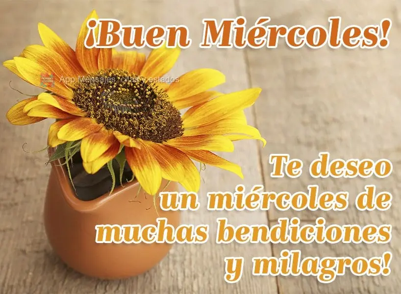 Te deseo un miércoles de muchas bendiciones y milagros! ¡Buen miércoles!