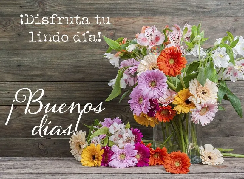 ¡Disfruta tu lindo día! ¡Buenos días!