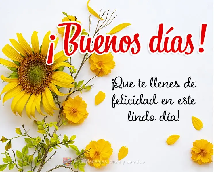 Que você se encha de felicidade neste lindo dia!  Bom dia!