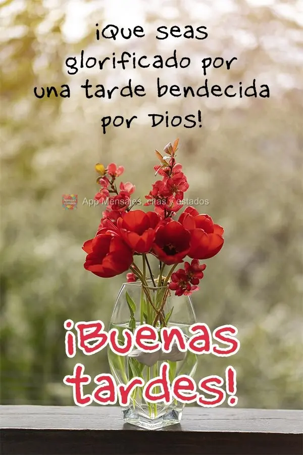 Que você seja glorificado com uma tarde abençoada por Deus! Boa tarde! 