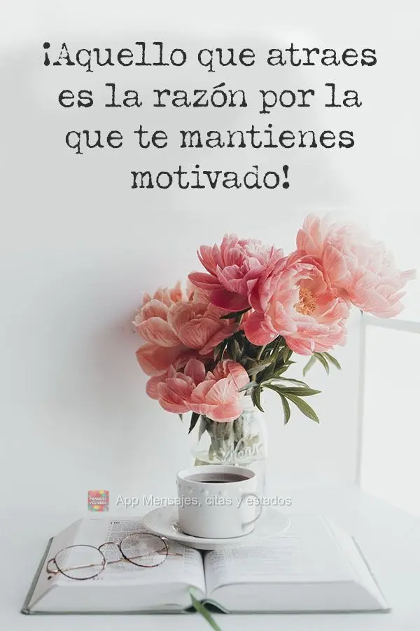 Aquilo que você atrai é a razão pela qual você se mantém motivado!