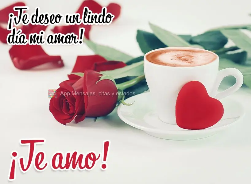 Desejo um lindo dia pra você, meu amor!  Eu te amo!