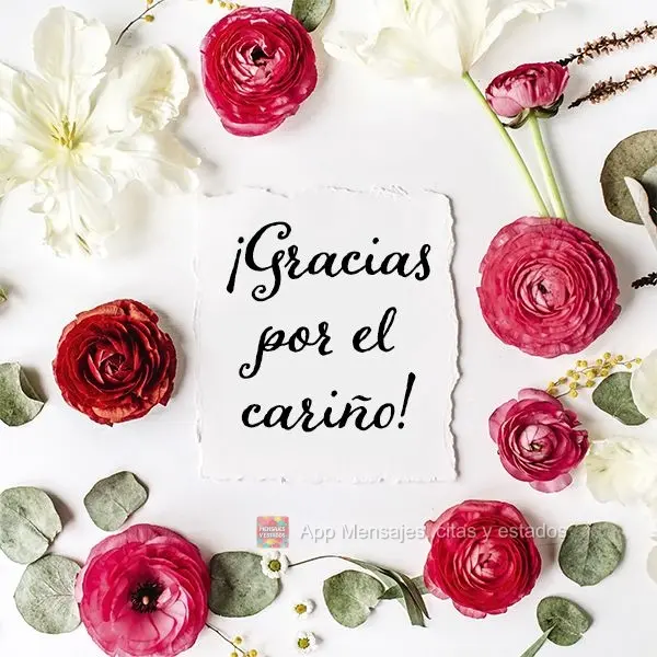 ¡Gracias por el cariño!