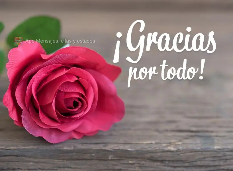 ¡Gracias por todo!