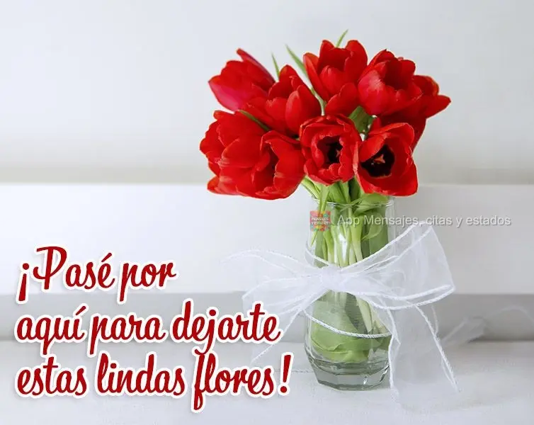 ¡Pasé por aquí para dejarte estas lindas flores!