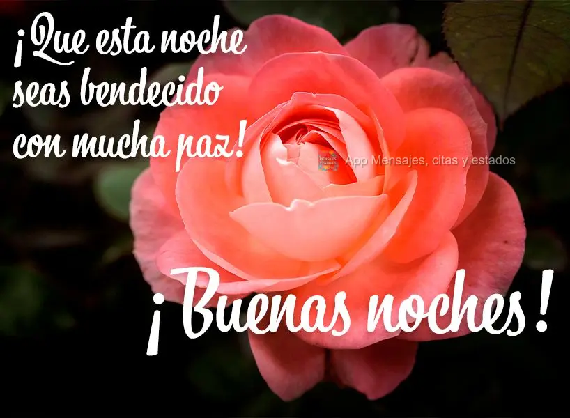 Que essa noite você seja abençoado com muita paz! Boa noite!