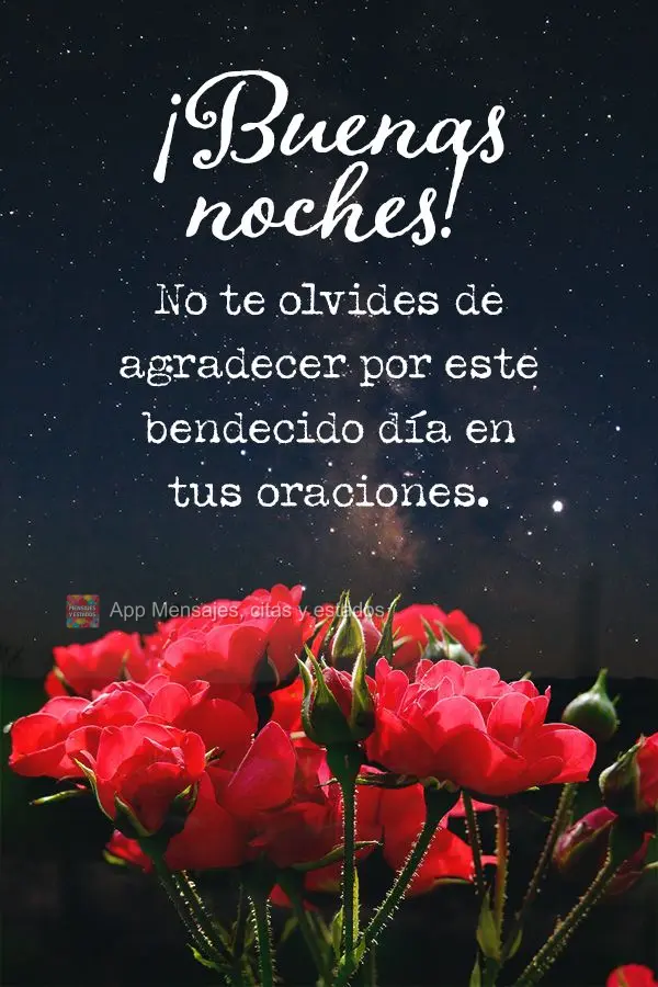 Não esqueça de agradecer em oração pelo dia abençoado. Boa noite! 