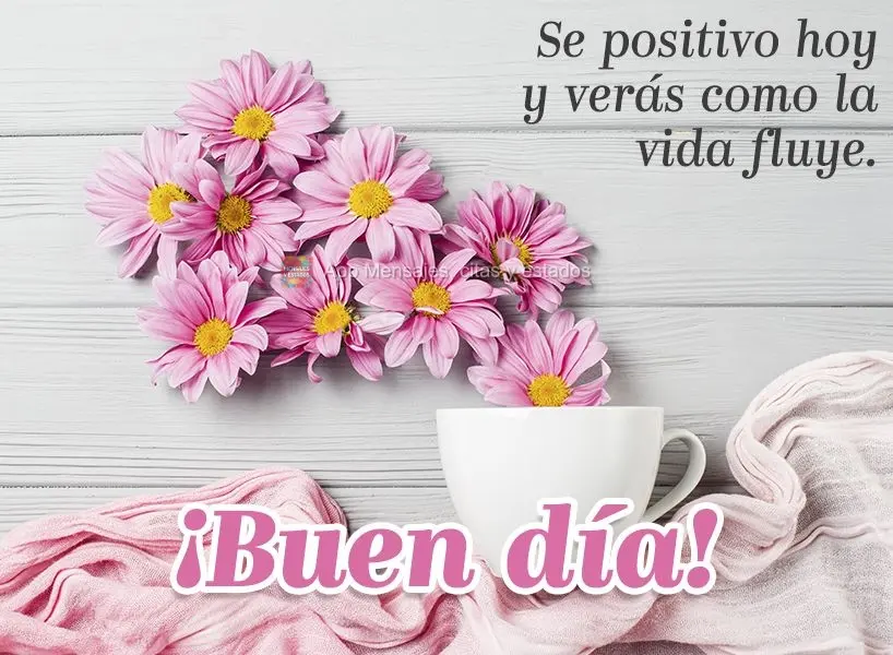 Seja positivo no dia de hoje e verás a vida fluir. Bom dia!