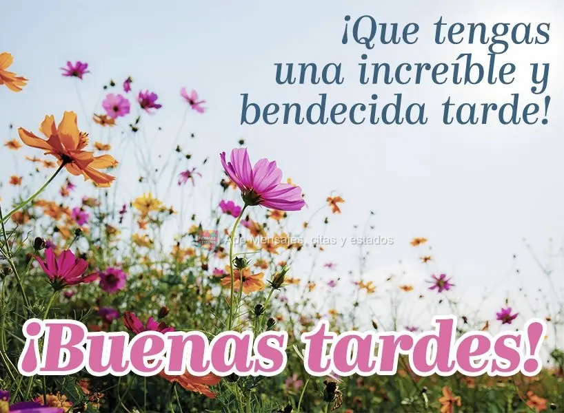 Tenha uma tarde incrivelmente abençoada!  Boa tarde!