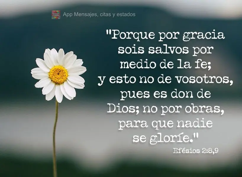"Porque por gracia sois salvos por medio de la fe; y esto no de vosotros, pues es don de Dios; no por obras, para que nadie se gloríe." Efésios 2:8,9...
