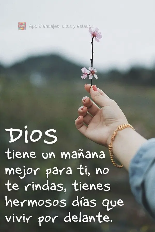 Deus tem um amanhã melhor pra você. Não desista, você ainda viverá lindos dias pela frente.