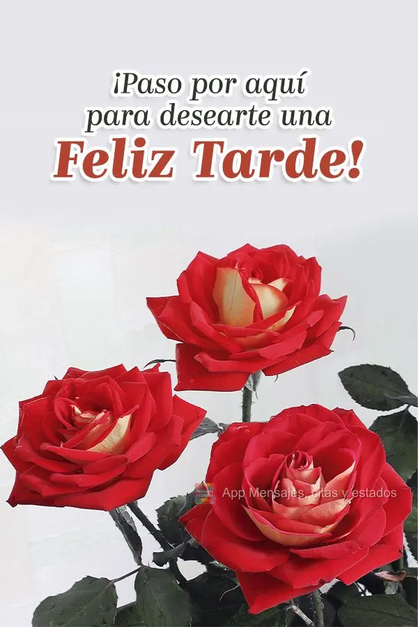 ¡Paso por aquí para desearte una feliz tarde!