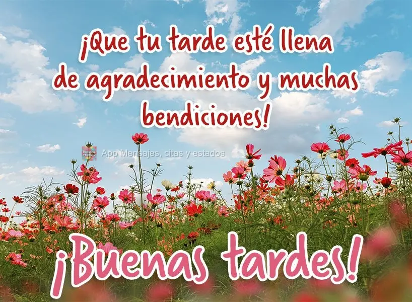 Que sua tarde seja de gratidão e muitas bênçãos! Boa tarde!