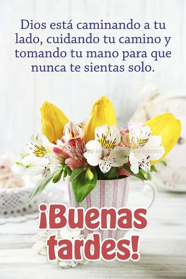 Dios está caminando a tu lado, cuidando tu camino y tomando tu mano para que nunca te sientas solo. ¡Buenas tardes!