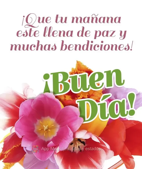 Que sua manhã seja de paz e muitas bênçãos! Bom dia!